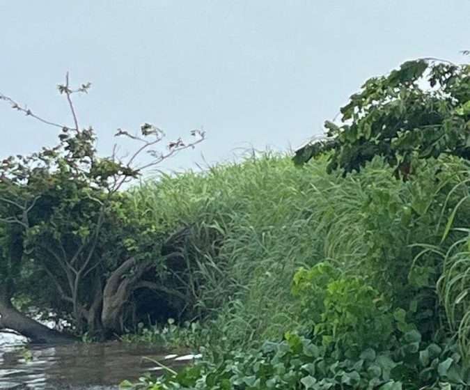  Crece tensión en Capoacán tras hallazgo de cuerpo flotando en el río; podría tratarse de ganadero privado de la libertad