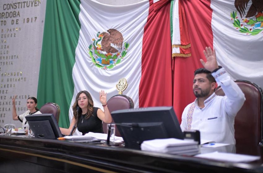  Aprueba Congreso reforma que facilita a las mujeres el acceso a la lactancia